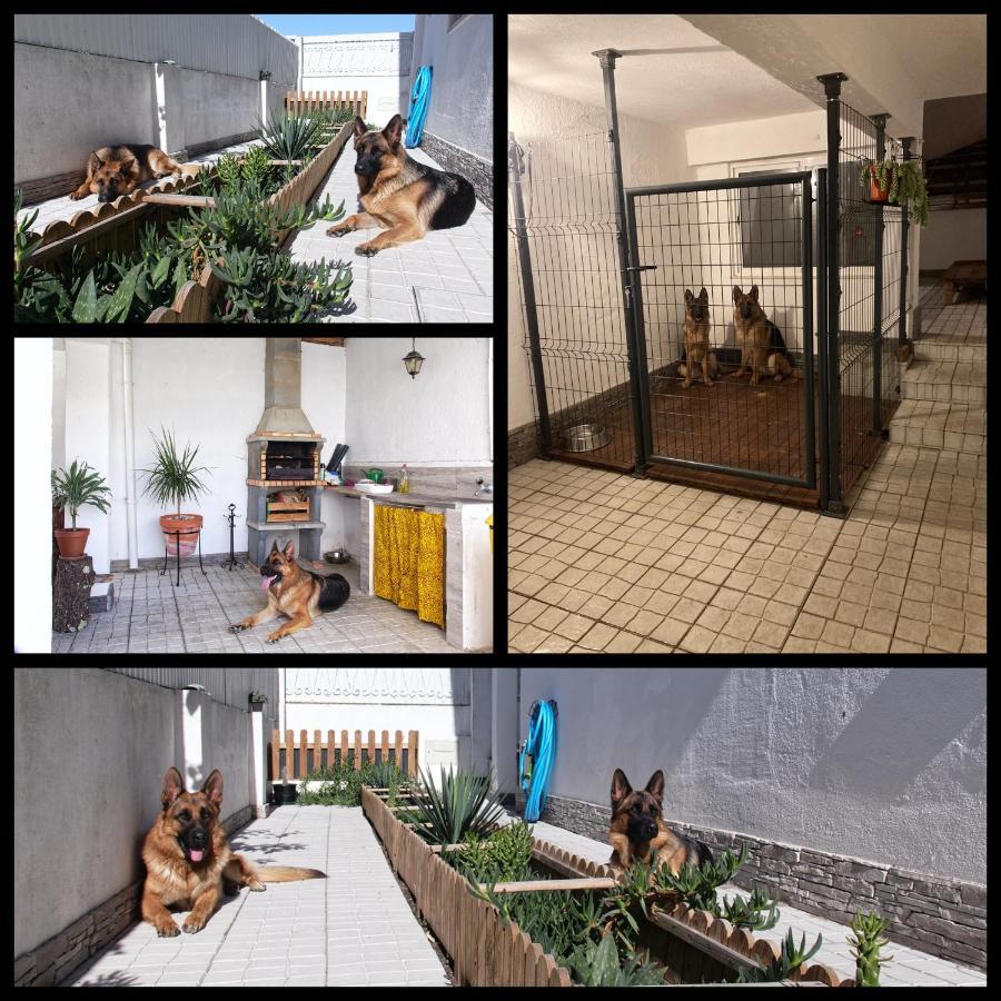 Toca Do Lobo Apartment Charneca  Ngoại thất bức ảnh