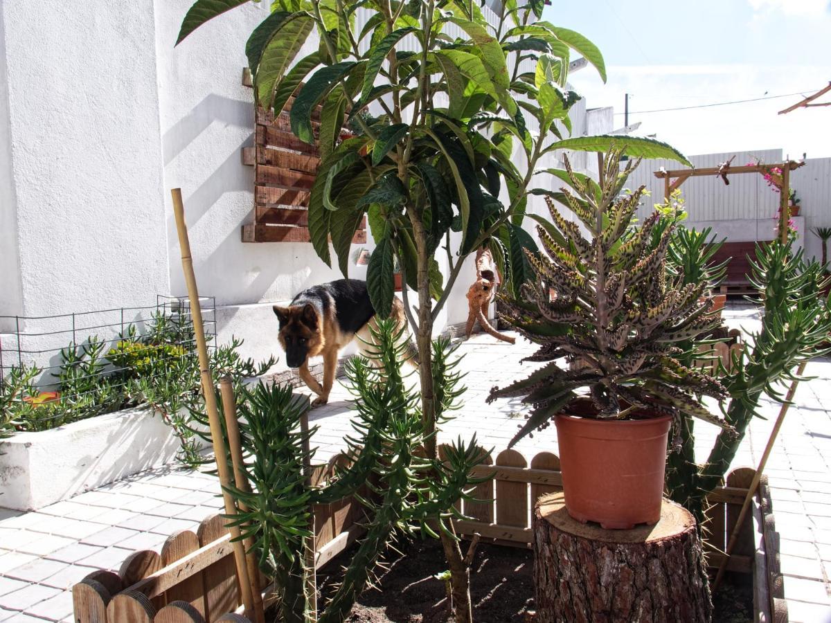 Toca Do Lobo Apartment Charneca  Ngoại thất bức ảnh